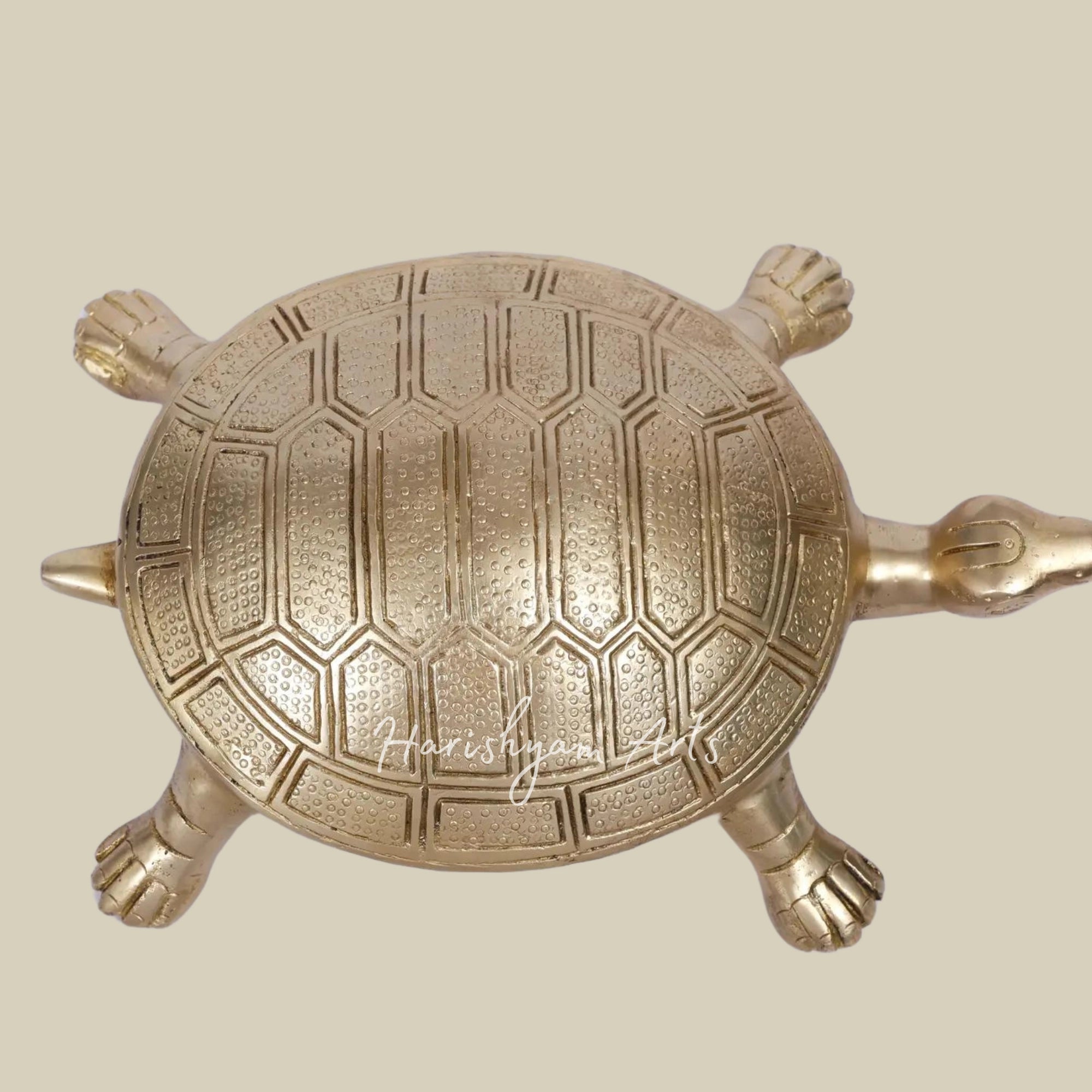 10" Brass Vastu Tortoise