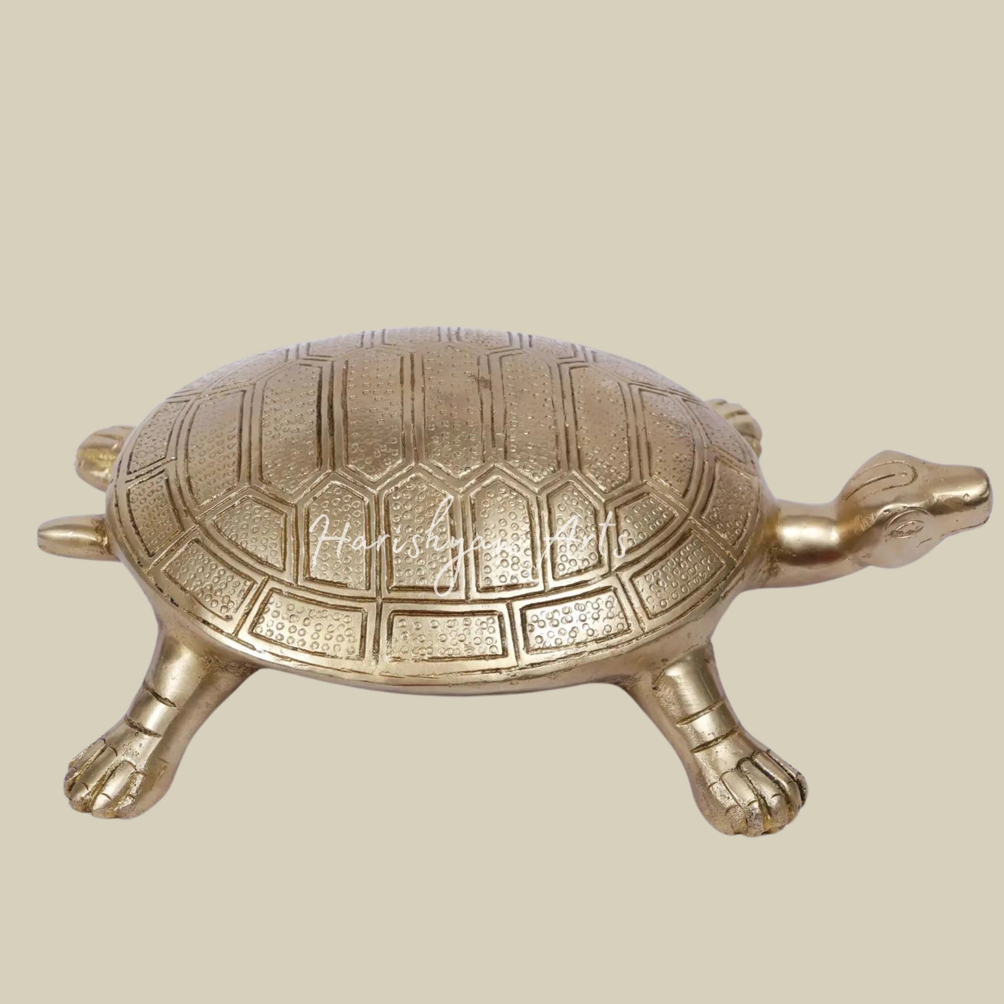 10" Brass Vastu Tortoise1
