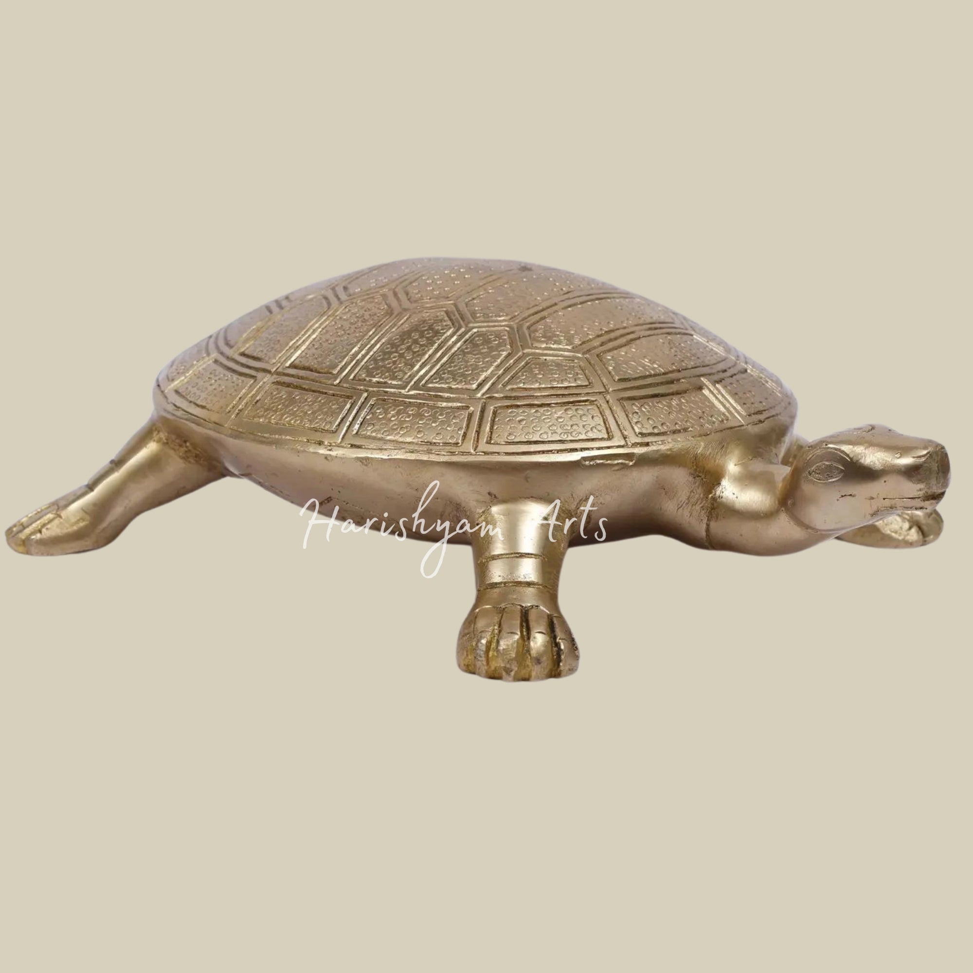 10" Brass Vastu Tortoise2