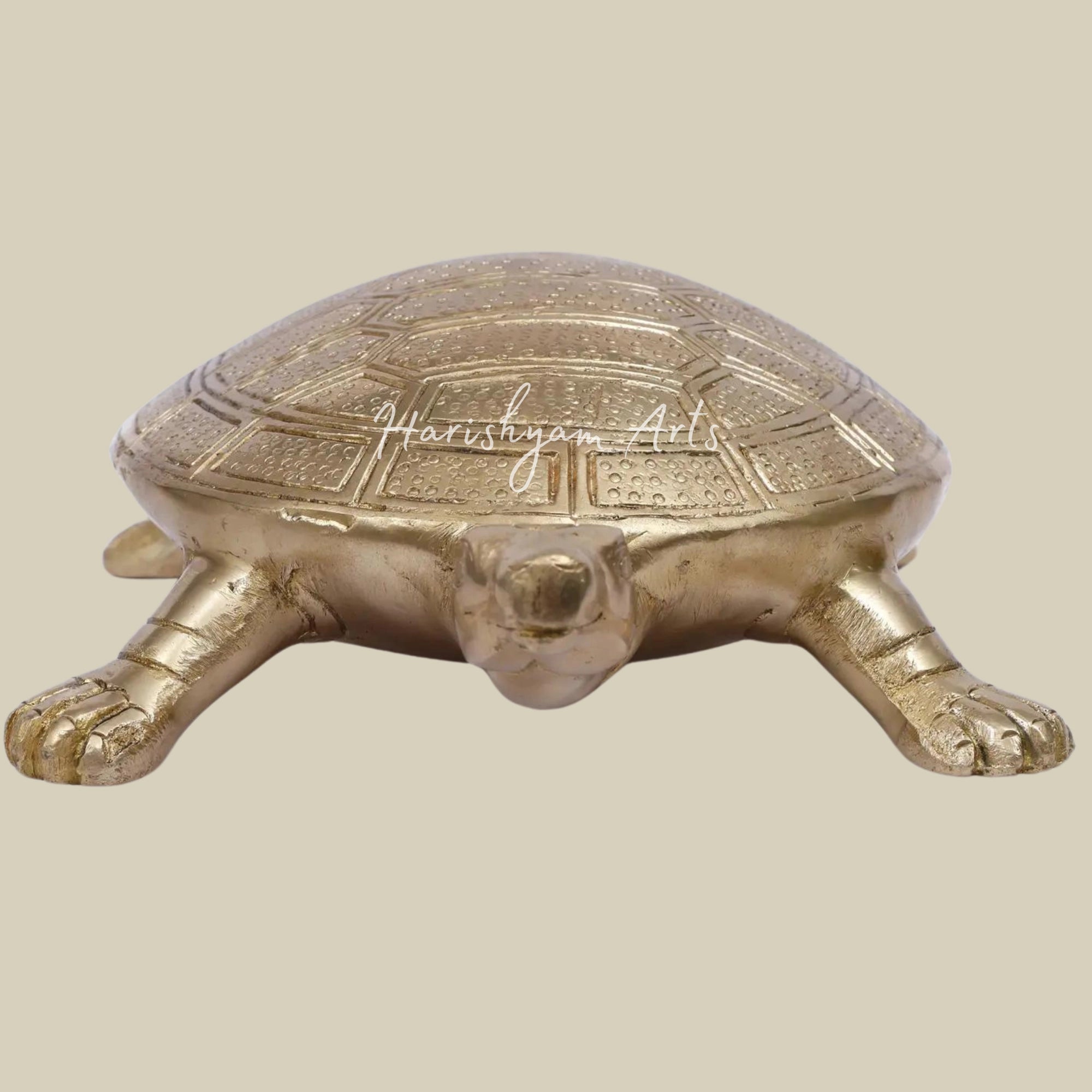 10" Brass Vastu Tortoise3