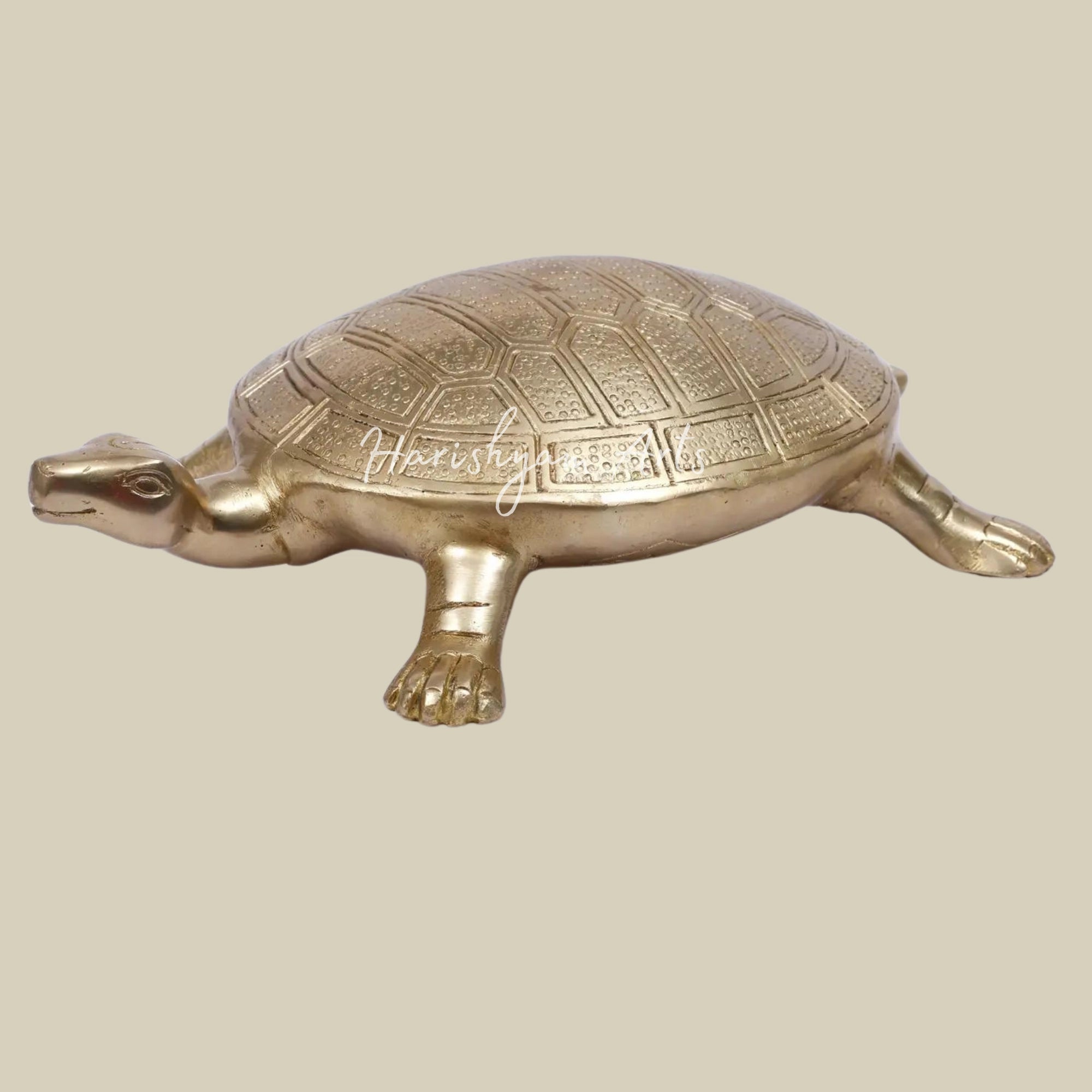 10" Brass Vastu Tortoise4