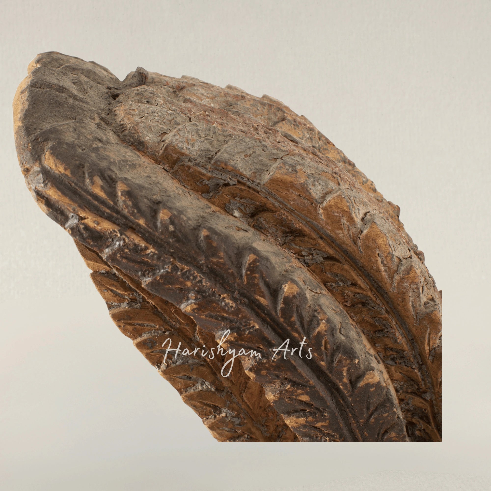 Phoenix Rising Carving Presented as Intricate Wood Art on Canvas