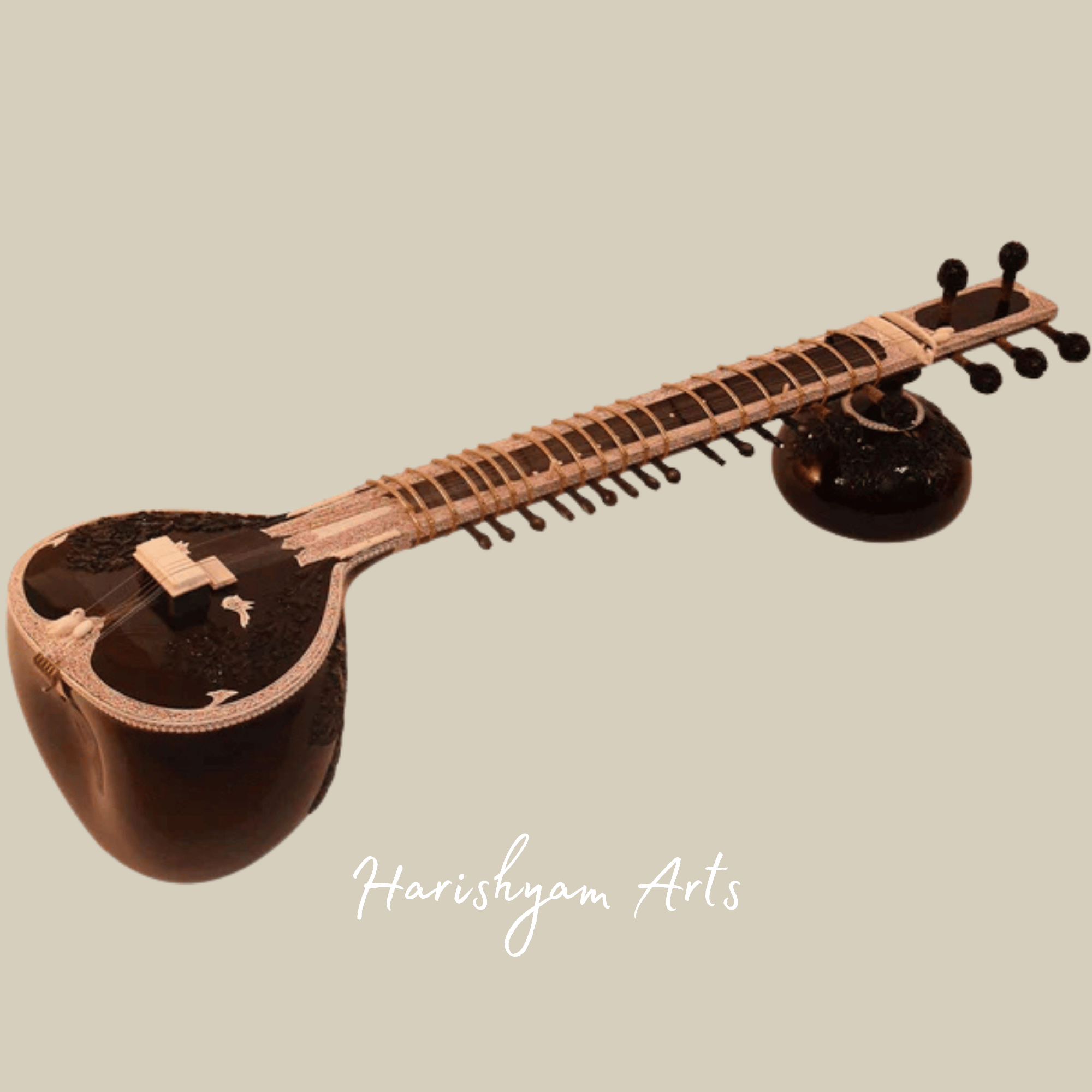 Professional Sitar Instrument for Concerts and Studio Recordings