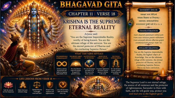 Bhagavad Gita Chapter 11 Verse 18 Meaning in Hindi & English