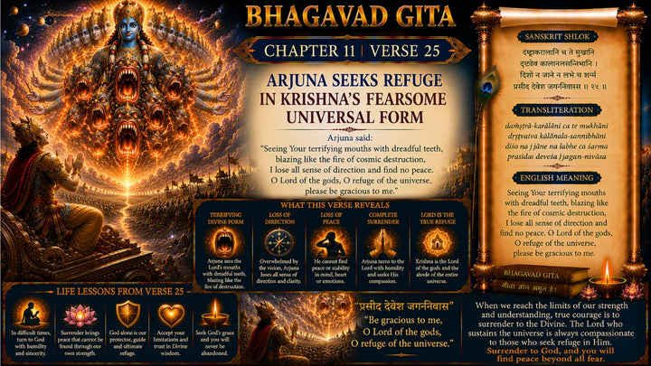 Bhagavad Gita Chapter 11 Verse 25 Meaning in Hindi & English