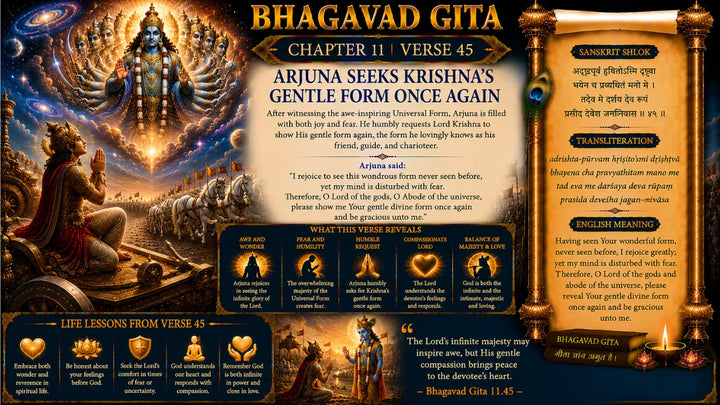 Bhagavad Gita Chapter 11, Verse 45 Meaning in Hindi & English