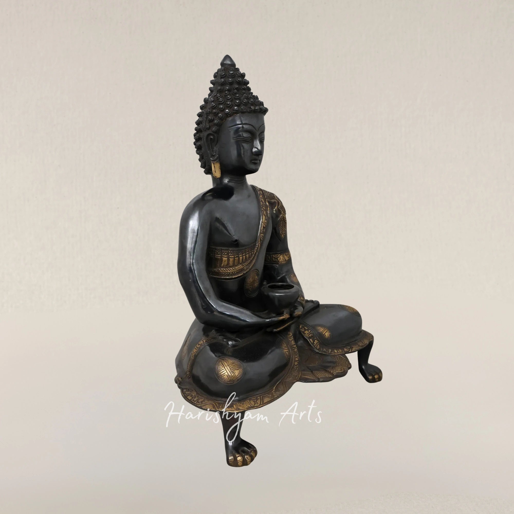 20" Black Brass Buddha Statue in Dhyana Mudra with Robes Carved with Life of Buddha Scenes