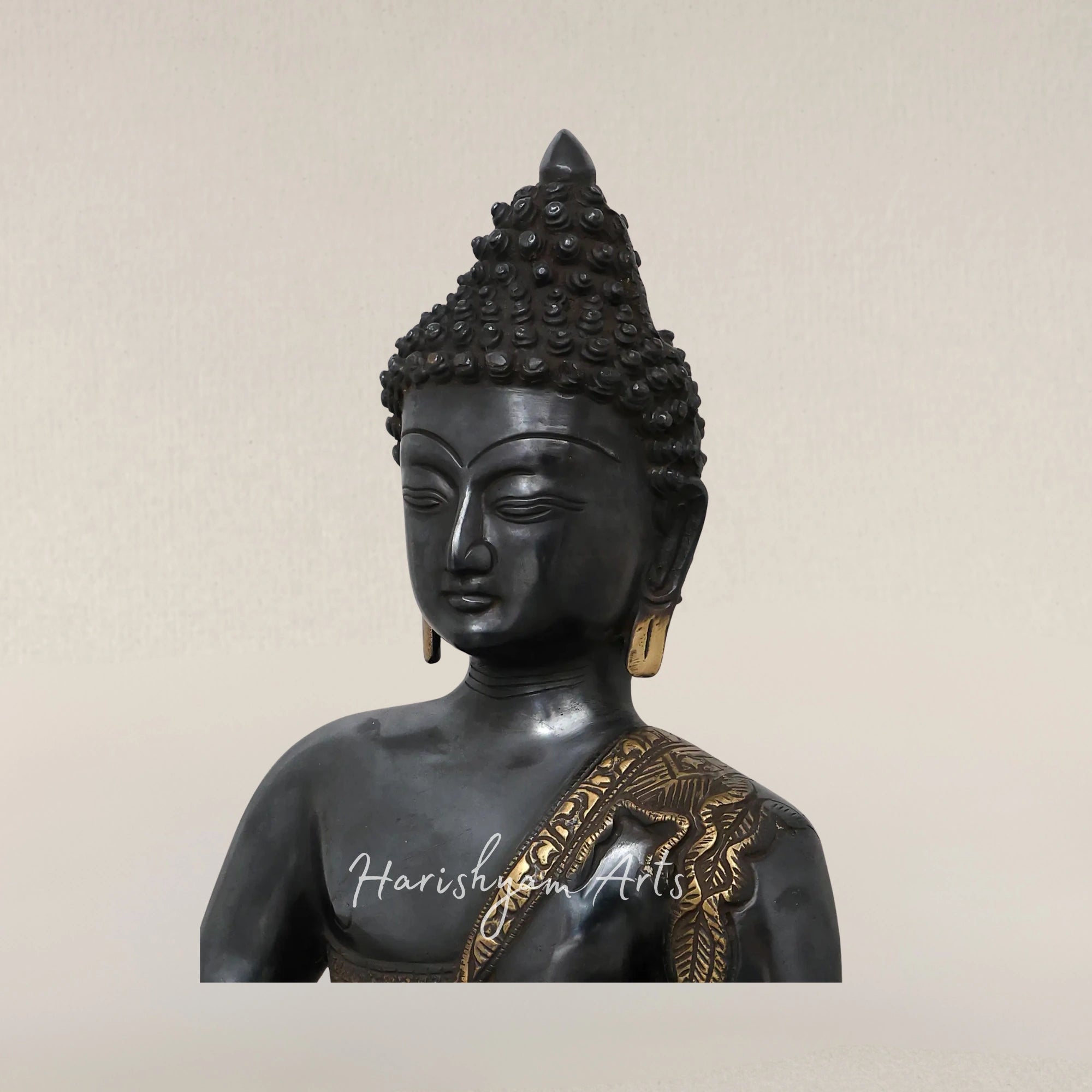20" Black Brass Buddha Statue in Dhyana Mudra with Robes Carved with Life of Buddha Scenes