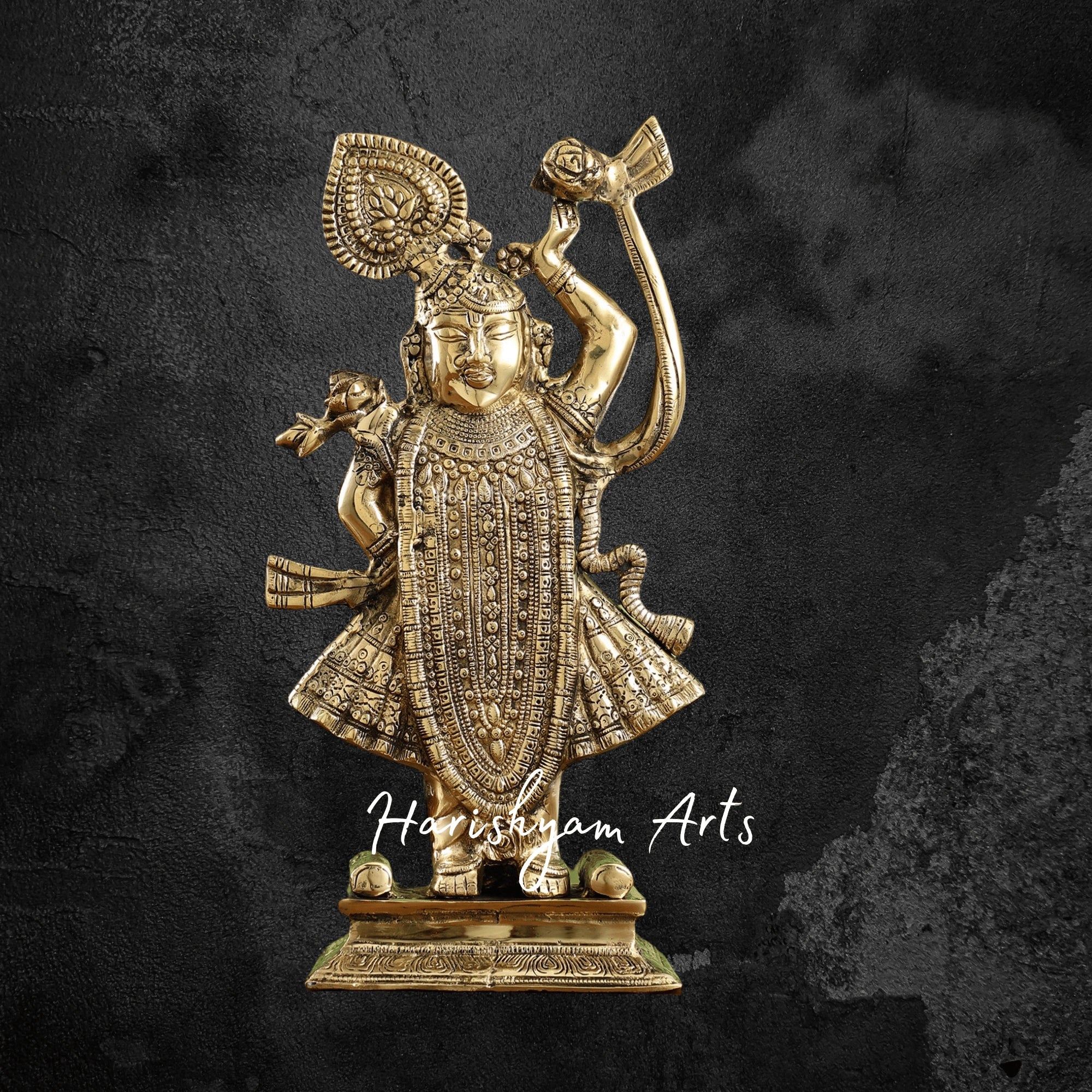 32" Elegant Brass Srinath Ji Standing Sculpture for Home Temple