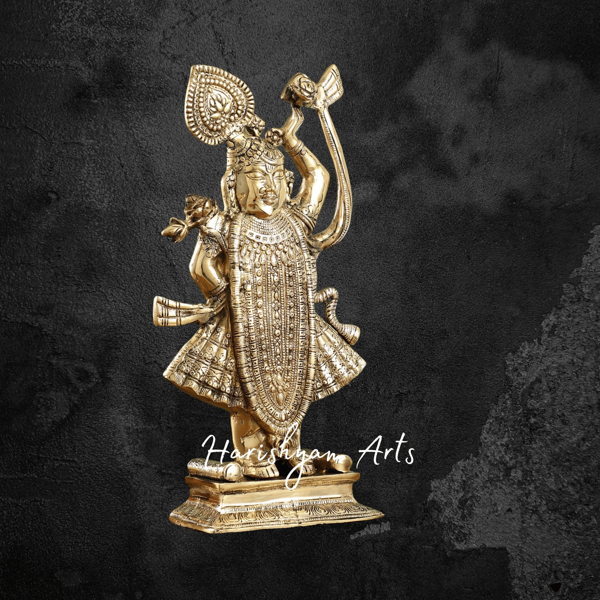 32" Elegant Brass Srinath Ji Standing Sculpture for Home Temple