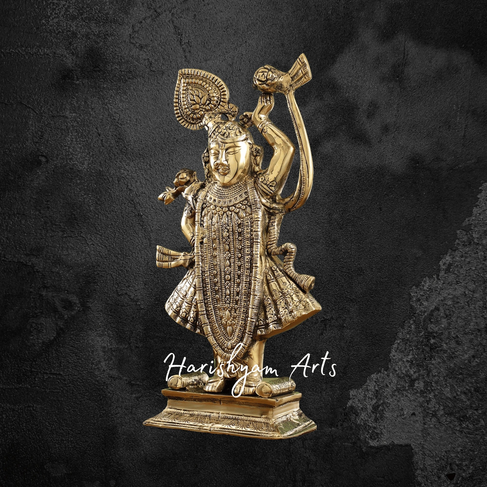 32" Elegant Brass Srinath Ji Standing Sculpture for Home Temple