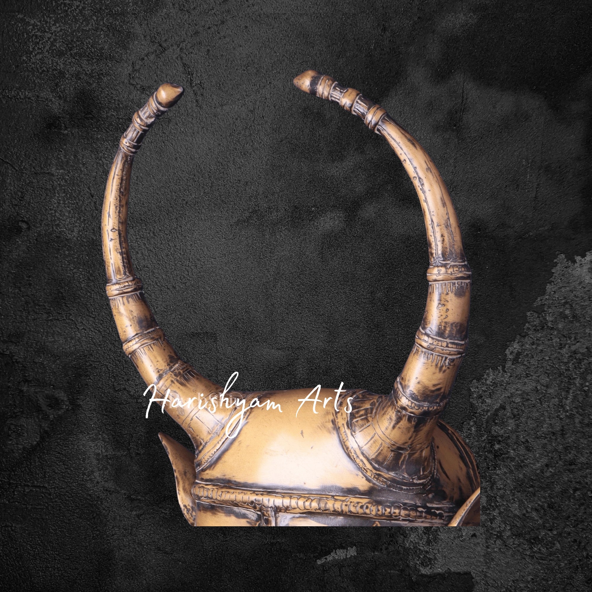 Antique Brass Bull Face Wall Decor for Home and Office