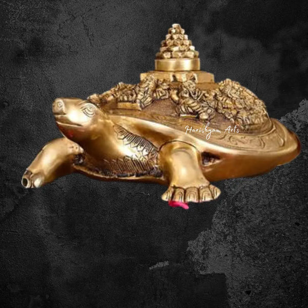 Auspicious Aegis 6 Inch Brass Tortoise Yantra