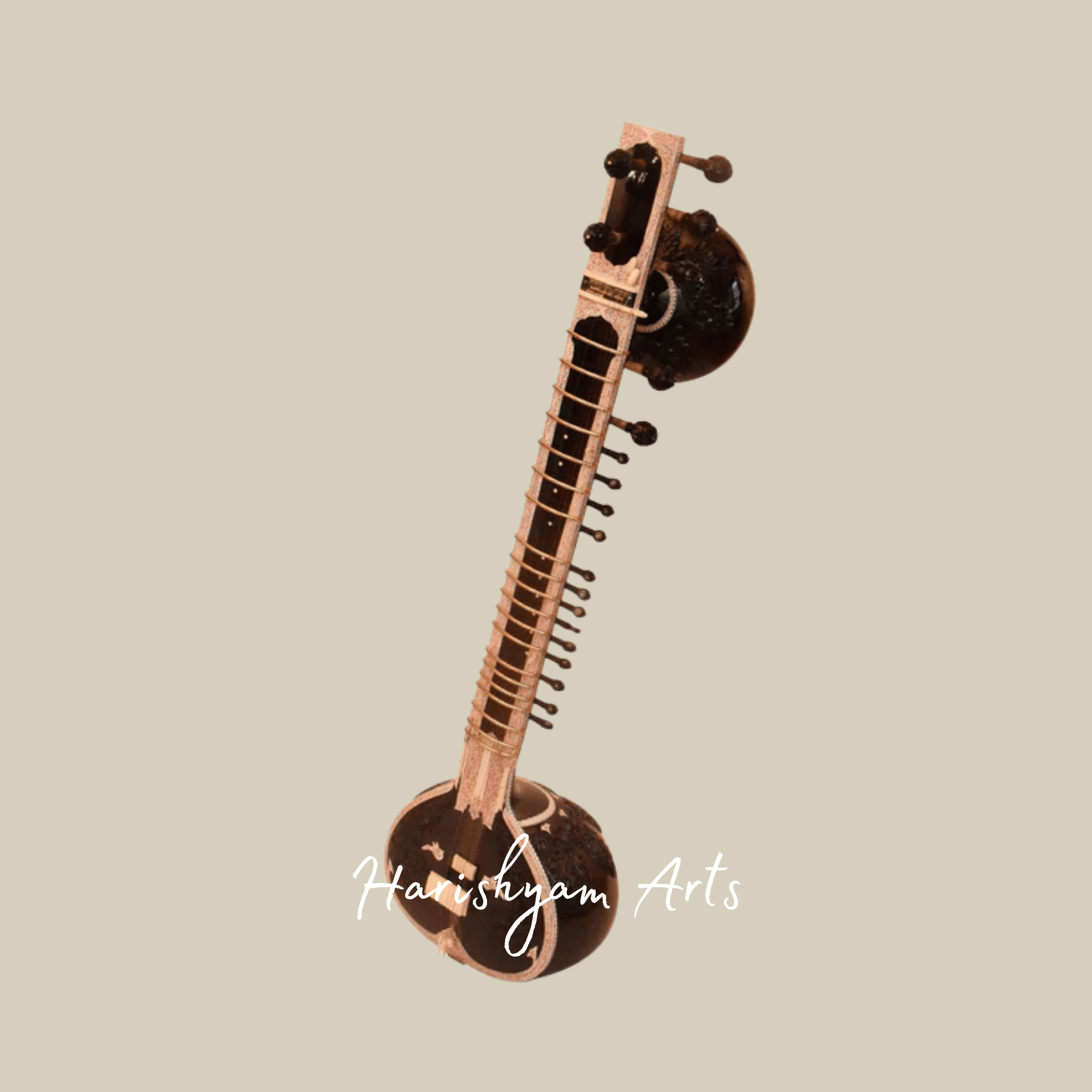 Professional Sitar Instrument for Concerts and Studio Recordings