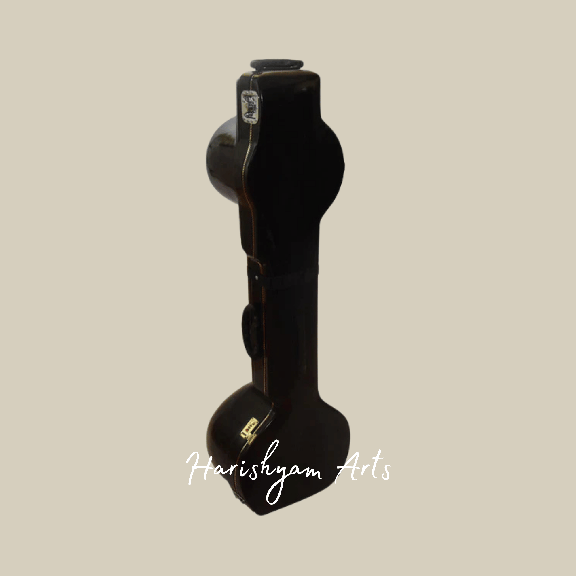 Professional Sitar Instrument for Concerts and Studio Recordings