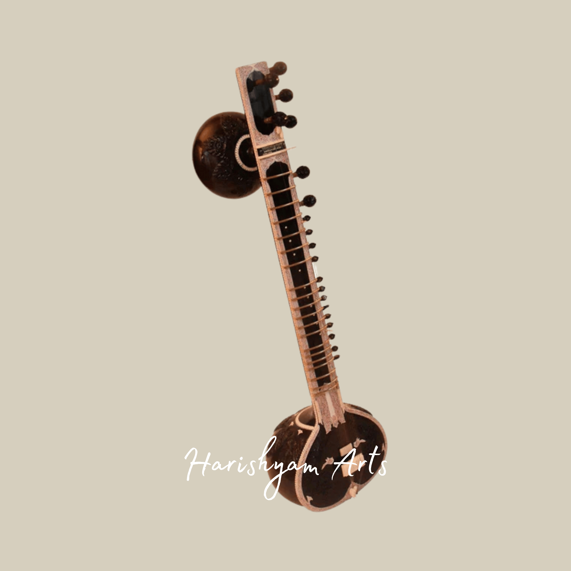 Professional Sitar Instrument for Concerts and Studio Recordings