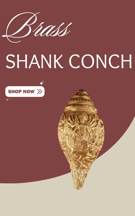 Brass Shank Conch
