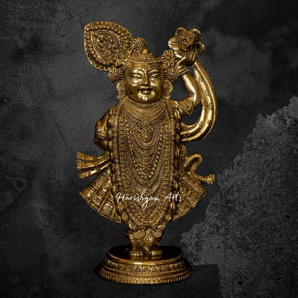 Shrinathji Brass Statue 13