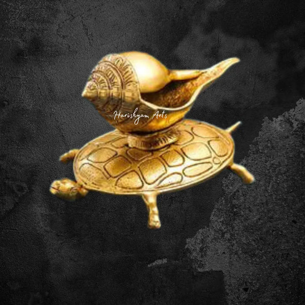 Tortoise Serenade Brass Conch Harmony