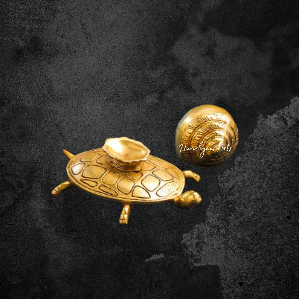 Tortoise Serenade Brass Conch Harmony